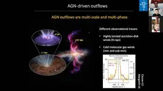'AGN feedback at cosmic noon: combining VLT, ALMA and JWST', Dr. V. Mainieri