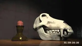 Still Life (Vanitas) - 2009