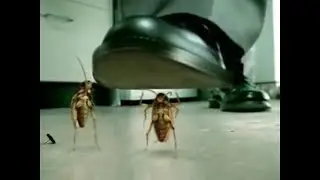 Cockroaches Bench-press V Energy NZ - Talking Tiny Bugs, Insects Under A Giant Man's Shoe Commercial