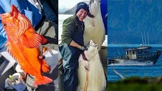 DIAMOND CAPE | Fishing for Big Halibut in Homer, AK (ft. Capt. Travis)