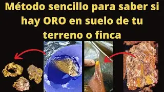 Método Sencillo y Fácil para saber si el suelo de tu terreno o finca tiene ORO | oro en el suelo