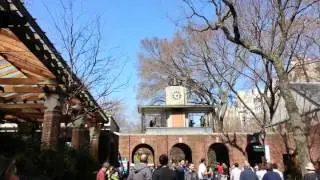 zoo  clock