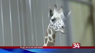 Tajiri moves into his own Barn