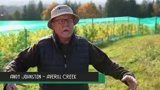 Averill Creek Vineyard by Tourism Cowichan