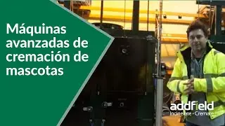 A50-IC Horno Crematorio para mascotas