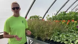 Big Dig at Yanney Park in Kearney