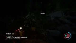 Sons of the forest leaks