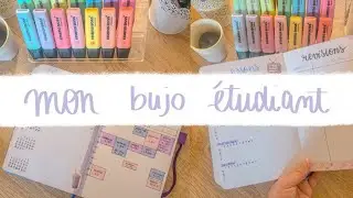 mes pages étudiantes dans mon bullet journal