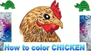 How to color colour draw Cartoon Chicken Rooster Hen Chick Learn Drawing Coloring Animals