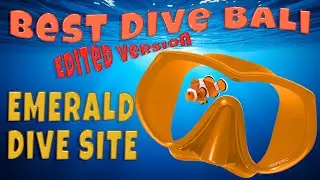 Emerald Dive Bali, the Cut version: STUNNING reef (40 Min) | Talk to the Fish