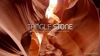 Tangle Stone - Connecting the Natural and Material Worlds