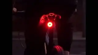 Intelligent induction brake warning light