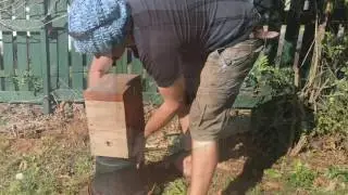 Relocating and moving hives 🐝