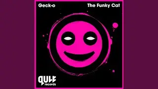 The Funky Cat