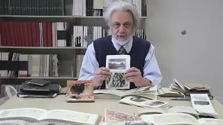 Anthony Apesos 