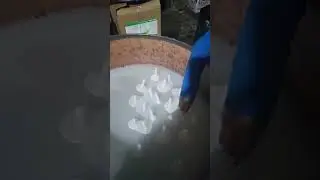 Diversión en la Cera