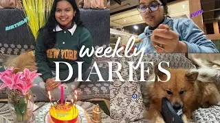 Tanu&rsquo;s weekly  diaries Episode 3🥶🍛🍰🎂(birthday, food, skin, care, cuisine, culture)#trendingvideo 