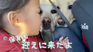 みんなで保育園に迎えに行ったった【長女ゴン🐕次女サン🐕三女ユウ👶】