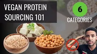 All Vegan Protein Sources Explained