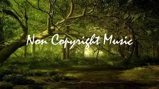 Stefan Ruesche - Lost desert Copyright Safe Music | No Copyright Vlog Background Music