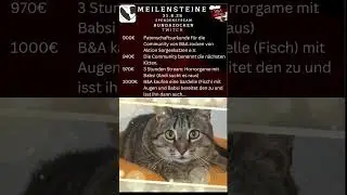 Letzte Chance! Spende f&uuml;r Aktion Sorgenkatze! Jetzt 🥰 #shorts