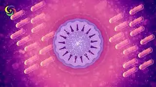 The Most Powerful Rife Healing Frequencies | Candida Death Ray Part 2 | Powerful Rife Frequencies