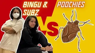 Leaving Jaffna! | Bingu & Subz VS the Colombo Poochies!!