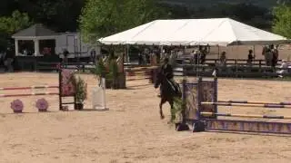 Video of CHIVU ridden by DEBORAH PERKINS from ShowNet!