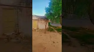 #villagelife #vlog #culture #views #vibes