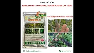 BIOBUS 1.00WP &ndash; THUỐC TRỪ BỆNH SINH HỌC...0776.755.793...thuốcbảovệthựcvật.vn #chếtnhanh