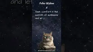 Feline Wisdom 6