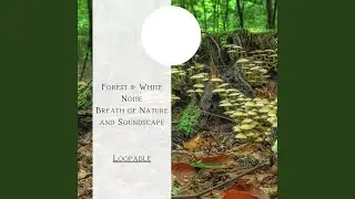 Forest & White Noise - Breath of Nature and Soundscape, Loopable