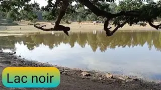 رحلة نحو البحيرة السوداء بأكفادوا بجاية🤪الجزائر Le Lac noir Akfadou Béjaïa   Algérie