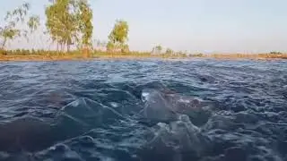 Swabi River Indus Beauty❤️