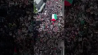 Tens of thousands attend pro-Palestine march in Cape Town