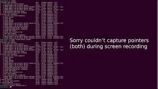 Get two mice pointers in Ubuntu