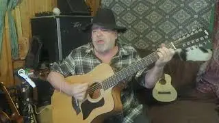 Thank U (an acoustic cover of Alanis Morissette on 12-string)