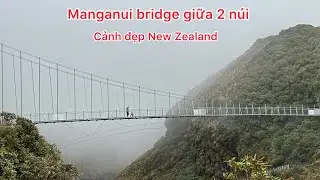 Famous bridge in #taranaki #newplymouth #lifeinnewzealand #travel #bridge