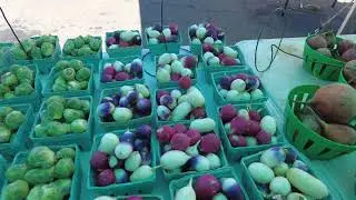 Farmers Market at Scotch Plains NJ　   Walk around NY 2022 4K