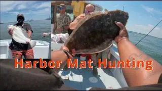 Hunting NYC Harbor Mat Fluke | Lil' Gypsea (Gypsea Charters)