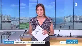 France 3 JT 12/13 Nord Pas-de-Calais Opener - 18.7.2019