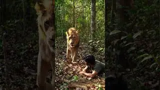 LionWalk#ManAndLion#FearlessMoment#WildEncounter#SilentWalk#LionPassingBy#BraveOrLucky#LionInTheWild