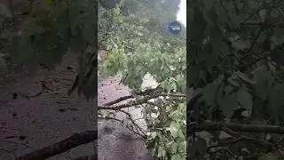 Tornadoes Tear Through Southeastern U.S. as Storms Leave 3 Dead #Weather