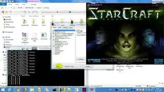 Automating games using BWAPI