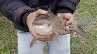 best fishing video 2024 | fish indian video | fishing videos