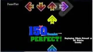101 Kittens Cranky FC FFR