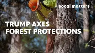 4 Million Acres of Forests Could Lose Protection | SoCal Matters | PBS SoCal