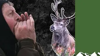 Calling Red Stags Viking Style
