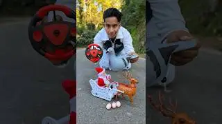 Pigeon Birds with Rc Santa Claus Sleigh And Reindeer gift🎁