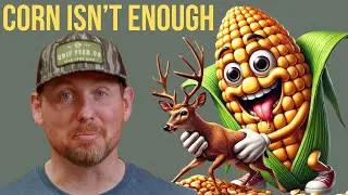 Deer Nutrition Mistakes: Why Feeding Bucks Corn Won't Grow Bigger Antlers